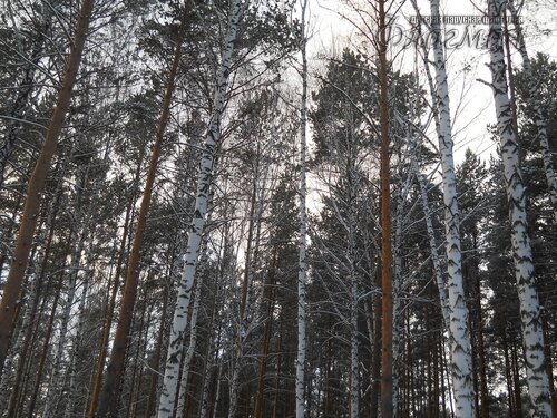 DSCN0108_r